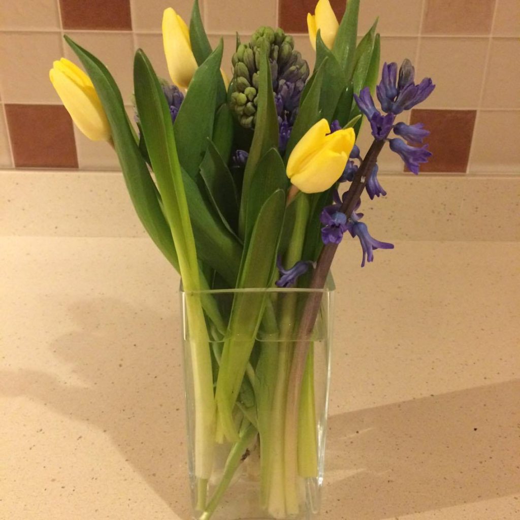 Flowers in a vase