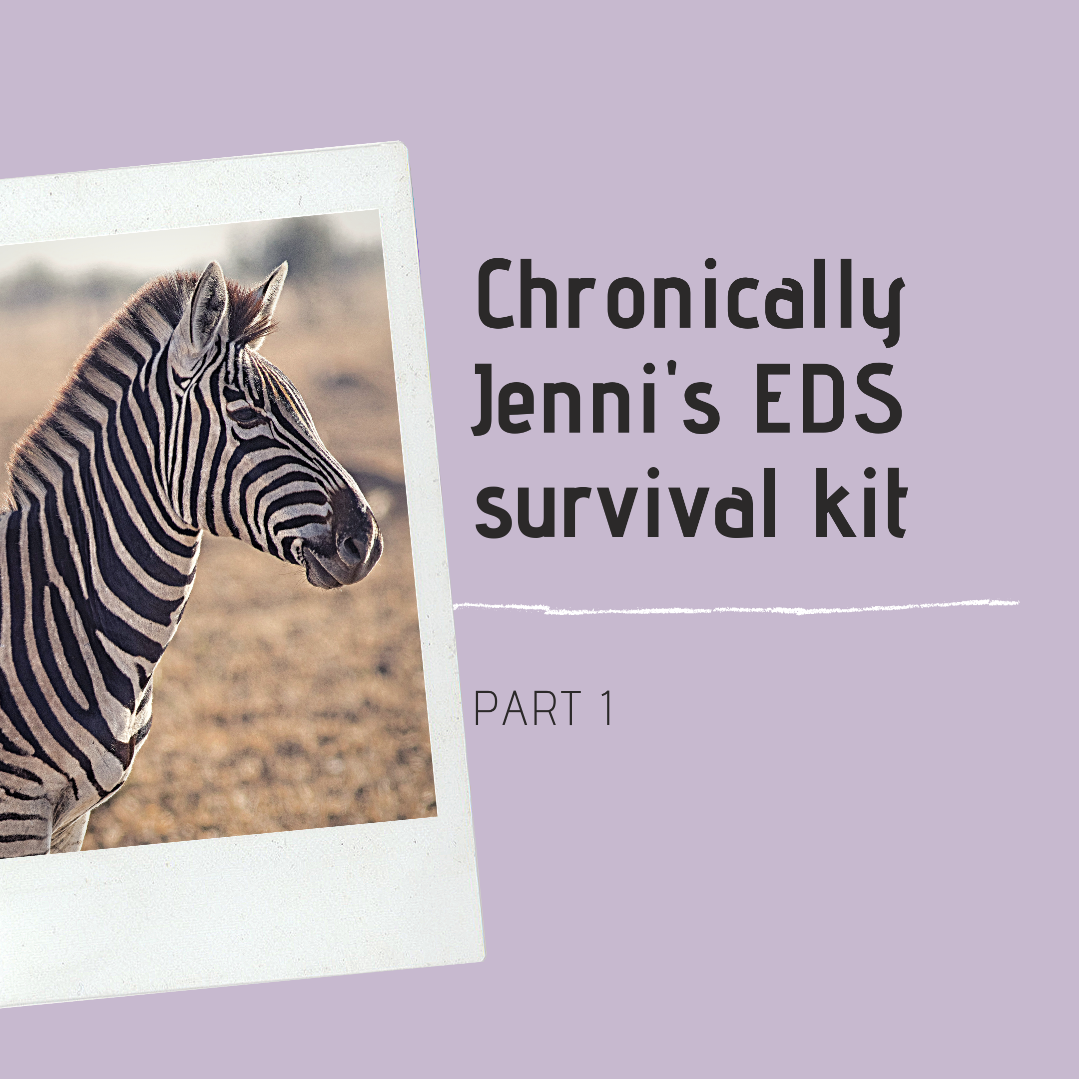 A photo of a zebra, with the words 'Chronically Jenni's EDS survival kit' Part 1