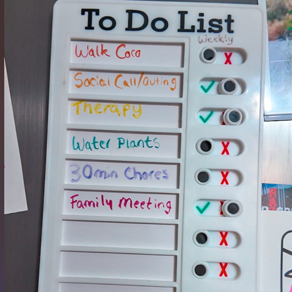 A to do list up close, showing things like 'walk coco' and 'social call/outing'. The to do list has sliders on one slide, allowing you to mark the task as done.